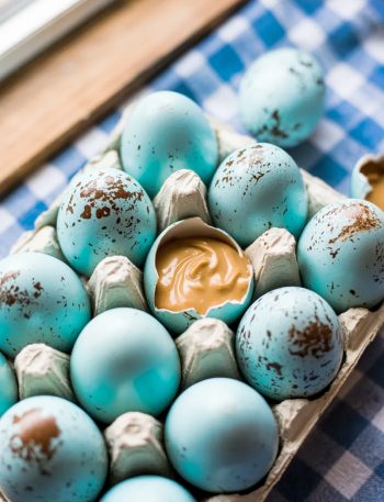 Homemade speckled blue peanut butter Easter eggs in a white ceramic egg carton on a blue gingham tablecloth with one egg broken open showing the creamy peanut butter filling