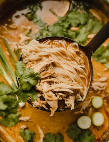 A black ladle lifting silky rice noodles and tender shredded chicken from a rich golden coconut curry broth in a large pot garnished with fresh cilantro